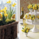 Daffodil centerpiece ideas