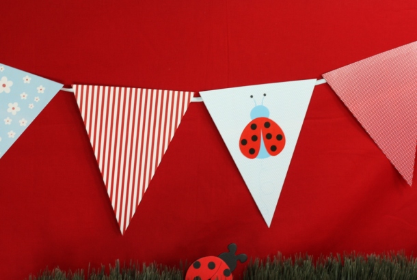 the-celebration-shoppe-ladybug-banner