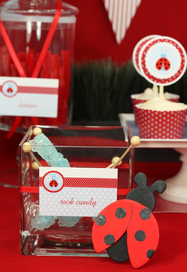 the-celebration-shoppe-ladybug-candy-labels