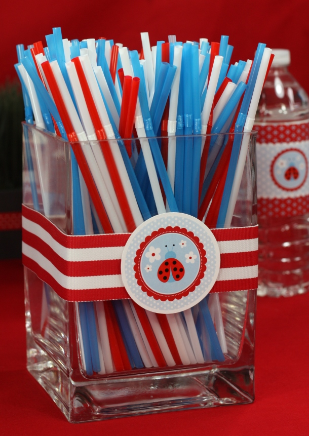 the-celebration-shoppe-ladybug-straw-display