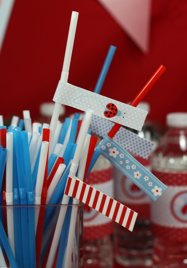 the-celebration-shoppe-ladybug-straw-slips