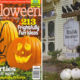 Better homes and gardens tricks treats 2010 issue