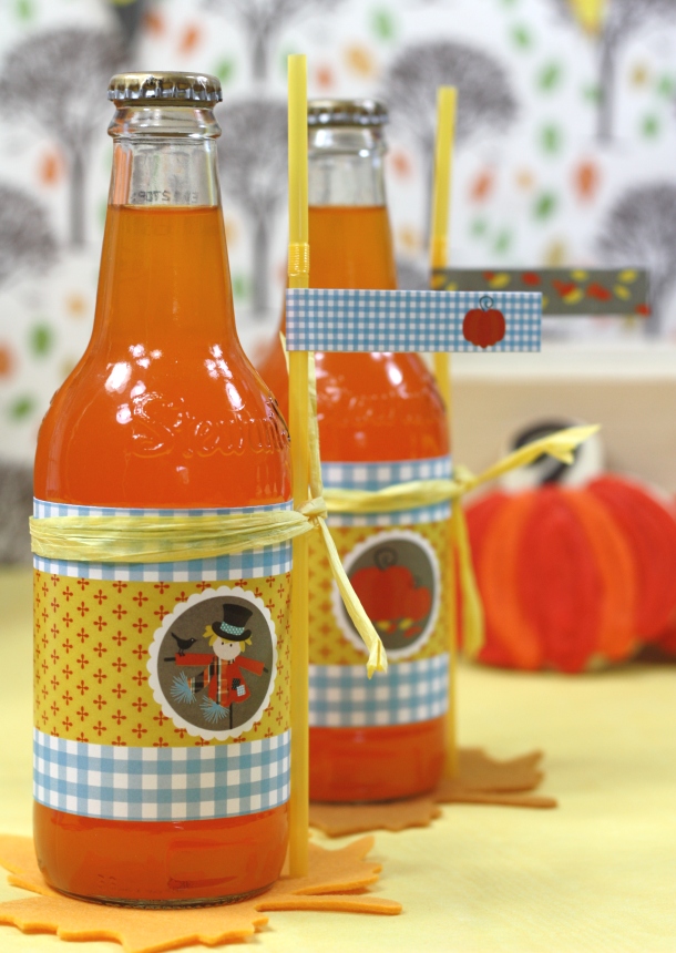 the-celebration-shoppe-harvest-collection_beveragewrappersstrawslips