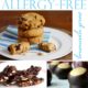 Allergy free chocolate chip cookies buckeyes toffee pretzels1