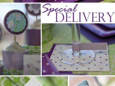 The celebration shoppe special delivery baby shower collection
