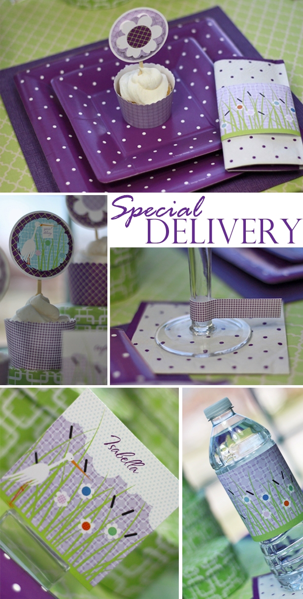 The celebration shoppe special delivery baby shower collection