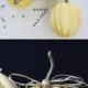 Decorating pumpkins squash with studs kim byers