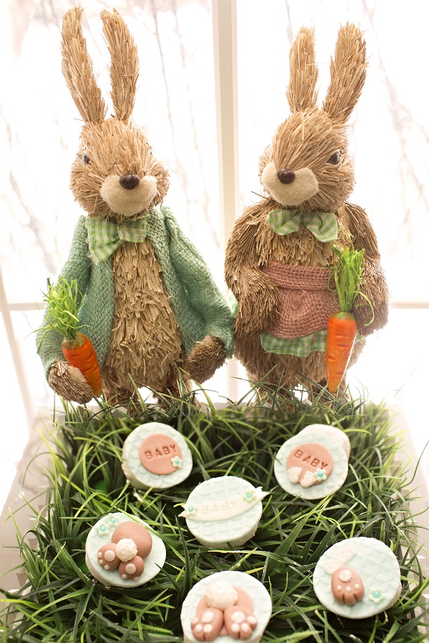 Peter Rabbit Baby Shower - Hippity Hop Into Spring - Kim Byers