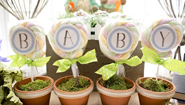 Spring Themed Peter Rabbit Baby Shower - Dazzling Hospitality