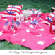 1 patriotic picnic with kohls 2554wl