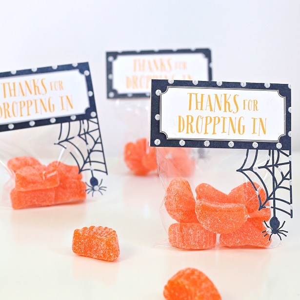 Halloween Treat Spider Web Bags | Kim Byers