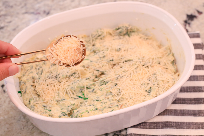 Sprinkle Baked Dip With Parmesan Cheese